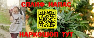 соль ск Пугачёв