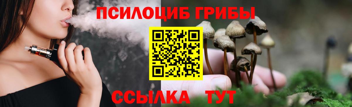 Скопин  Галлюциногенные грибы Cubensis  Вход с VPN 